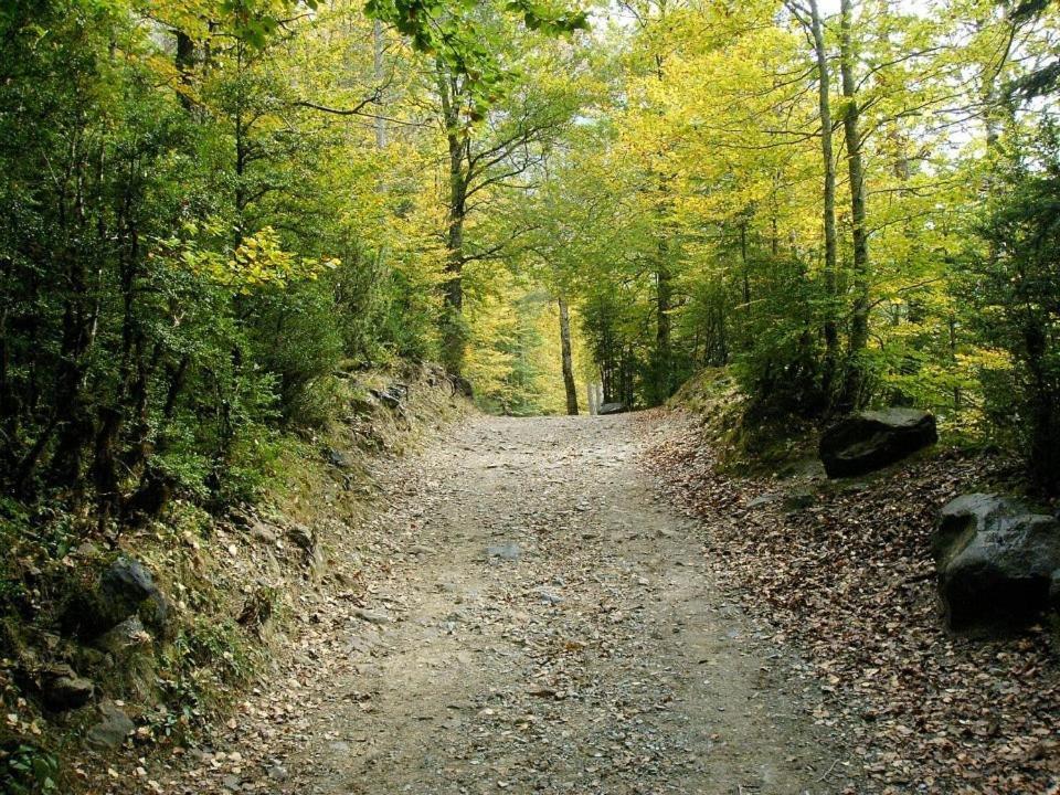 Apartamentos Pirineos Ordesa El Pueyo de Araguás Kültér fotó